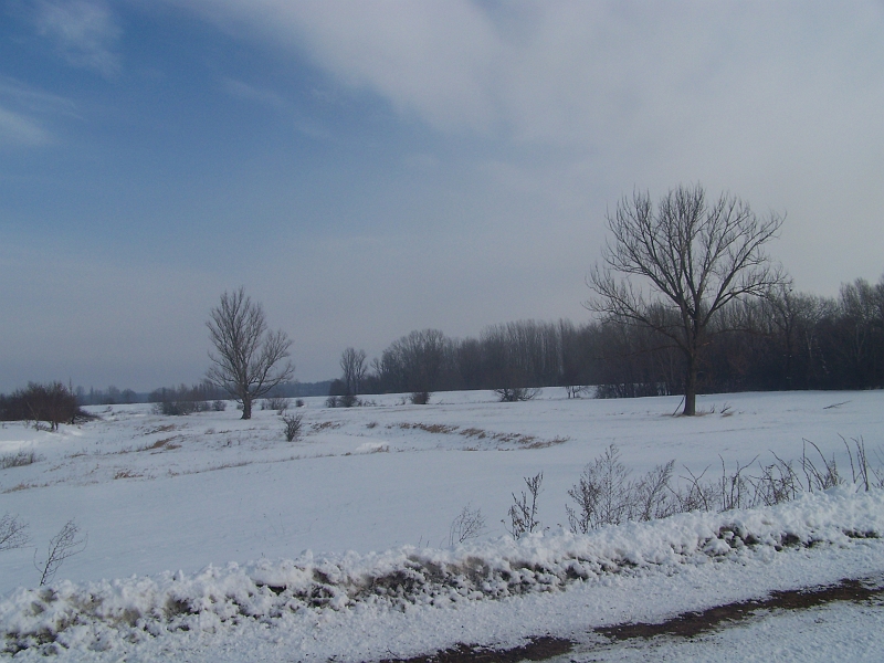 2012.02.09. 123.jpg